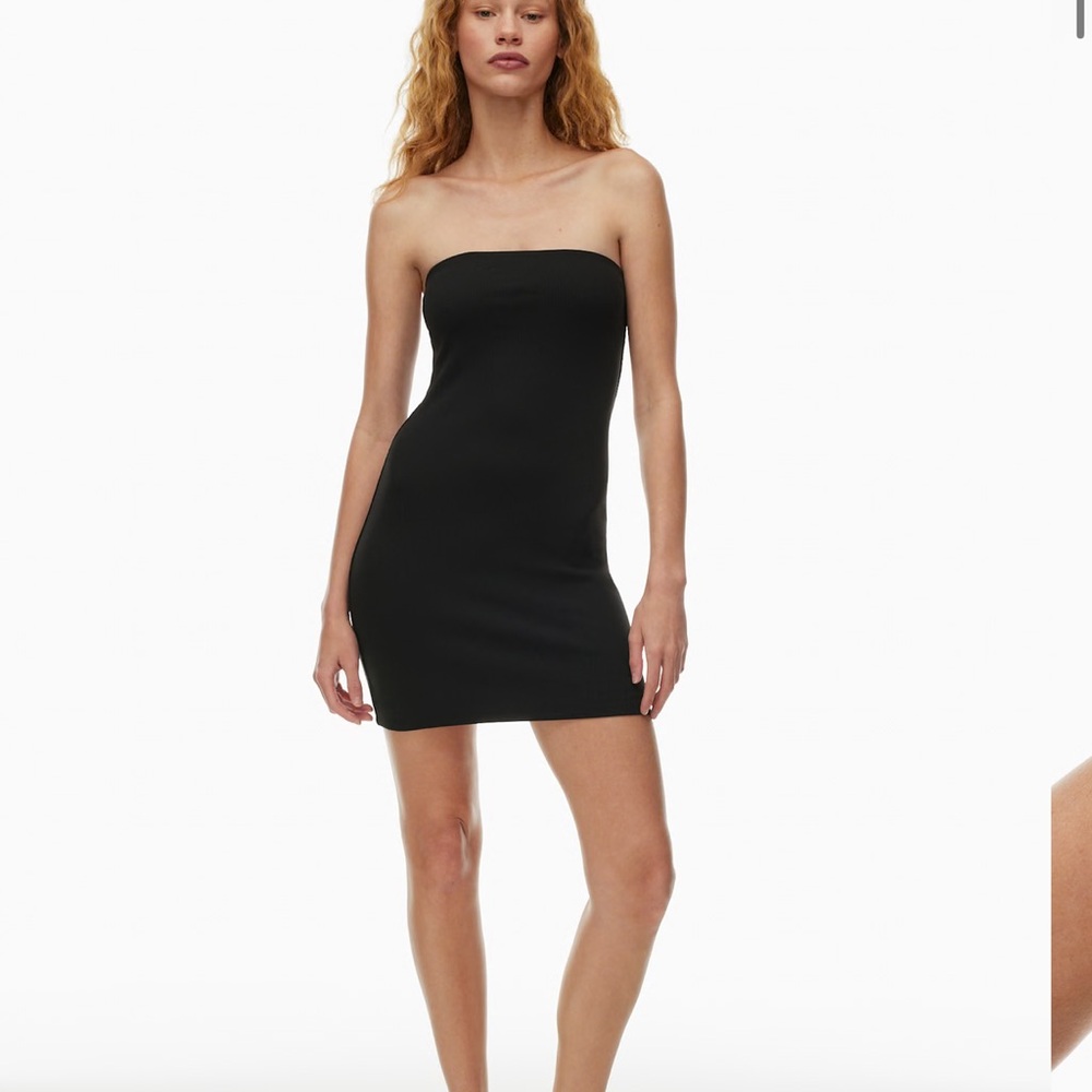 NWOT Aritzia Contour Ribbed Mini Tube Dress